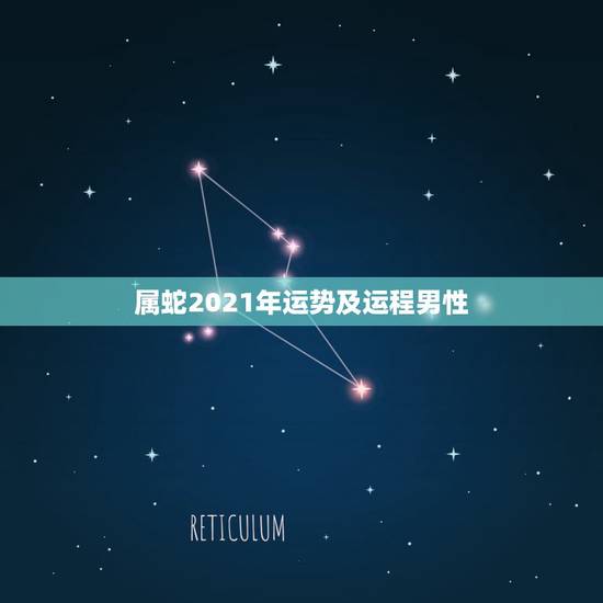 属蛇2021年运势及运程男性,2021年属蛇人的全年运势男性 属蛇2021年运势及运程男性,2021年属蛇人的全年运势男性
