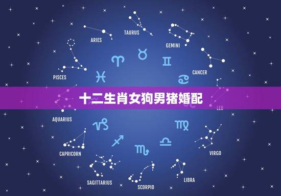 十二生肖女狗男猪婚配,女属猪和男属狗配吗?能具体说说吗? 十二生肖女狗男猪婚配,女属猪和男属狗配吗?能具体说说吗?