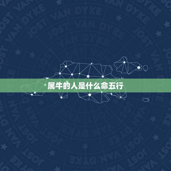 属牛的人是什么命五行，2022 年属牛男宝名字