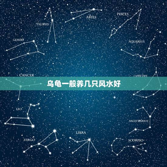 乌龟一般养几只风水好,请问家里养几只乌龟吉利?谢谢! 乌龟一般养几只风水好,请问家里养几只乌龟吉利?谢谢!