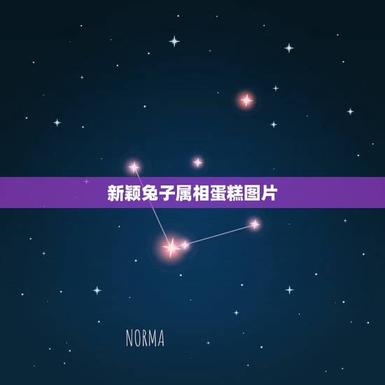 新颖兔子属相蛋糕图片,王森西点蛋糕怎样用奶油做十二生肖动物 新颖兔子属相蛋糕图片,王森西点蛋糕怎样用奶油做十二生肖动物