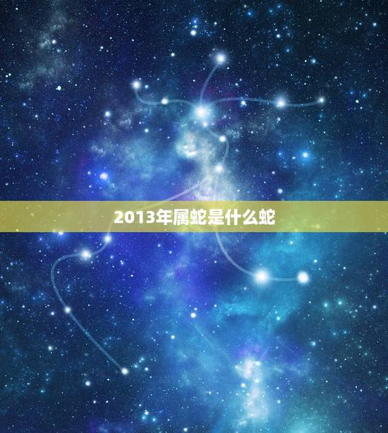 2013年属蛇是什么蛇，急求！2013年属蛇是什么命，2013年属蛇运