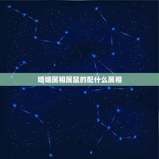 婚姻属相属鼠的配什么属相,属鼠和什么属相最配 婚姻属相属鼠的配什么属相,属鼠和什么属相最配