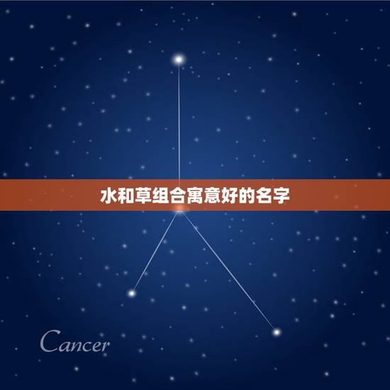 水和草组合寓意好的名字，男孩起什么名字好啊！带水带草