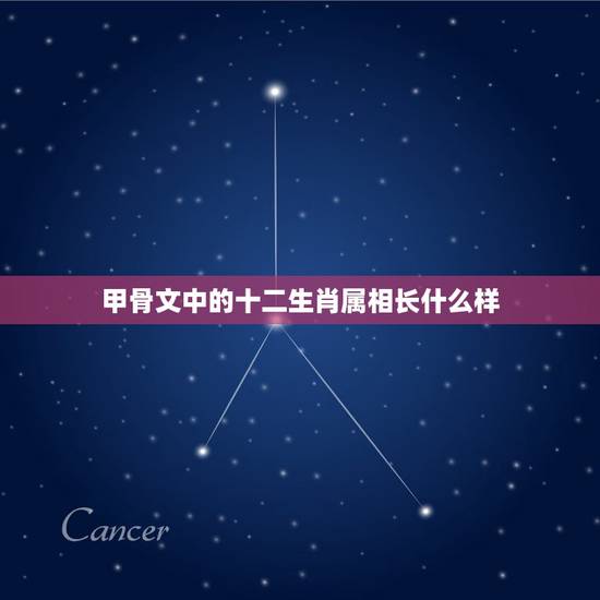 甲骨文中的十二生肖属相长什么样，12生肖的甲骨文怎么写