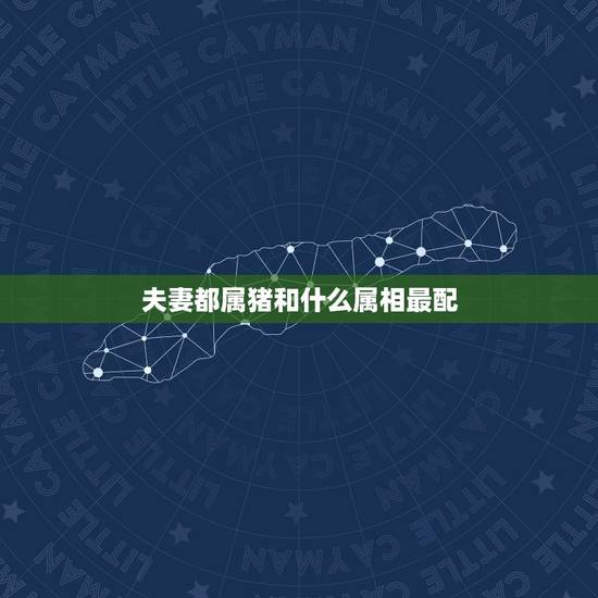 夫妻都属猪和什么属相最配,属猪的最隹配偶是什么属相的 夫妻都属猪和什么属相最配,属猪的最隹配偶是什么属相的