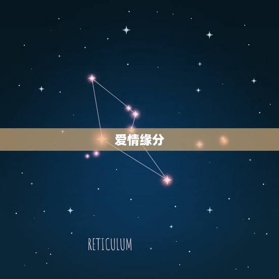 爱情缘分，关于爱情缘分的句子