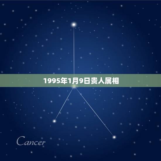 1995年1月9日贵人属相，我是农历1971年1月1日出生的属狗，想知