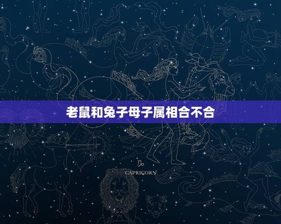 老鼠和兔子母子属相合不合，兔子和老鼠属相不合？