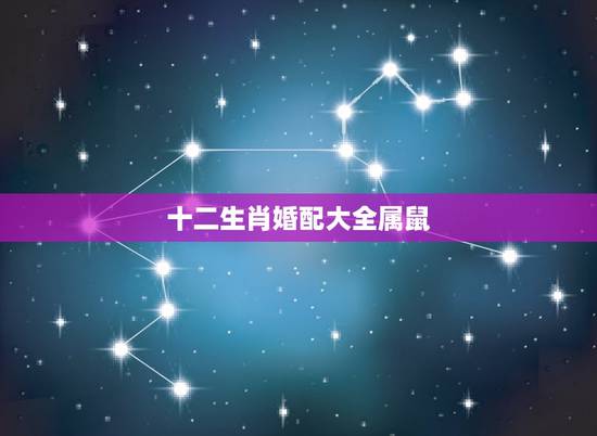 十二生肖婚配大全属鼠,属鼠最佳婚配属相 十二生肖婚配大全属鼠,属鼠最佳婚配属相