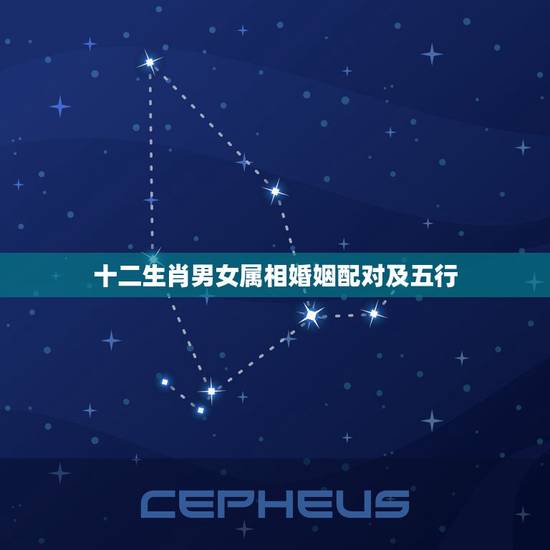 十二生肖男女属相婚姻配对及五行,十二生肖男女婚配表 十二生肖男女属相婚姻配对及五行,十二生肖男女婚配表