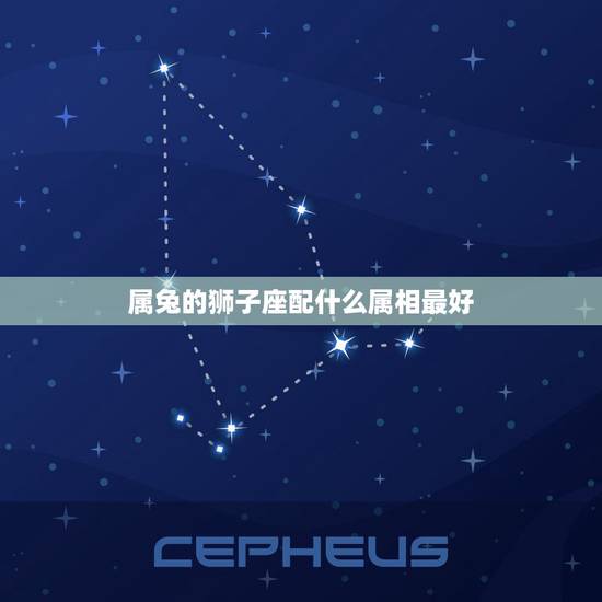 属兔的狮子座配什么属相最好，1987属兔的狮子座男的和属什么的女的最配