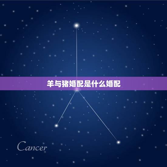 羊与猪婚配是什么婚配,男属羊女属猪婚配如何 羊与猪婚配是什么婚配,男属羊女属猪婚配如何
