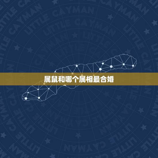 属鼠和哪个属相最合婚,20岁属鼠的是什么命和属鸡的合婚吗 属鼠和哪个属相最合婚,20岁属鼠的是什么命和属鸡的合婚吗