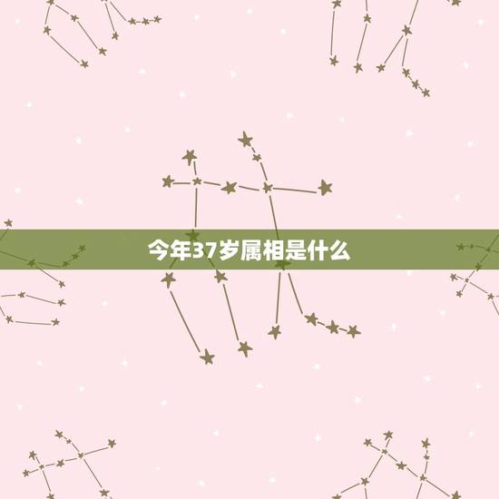 今年37岁属相是什么，35岁属什么