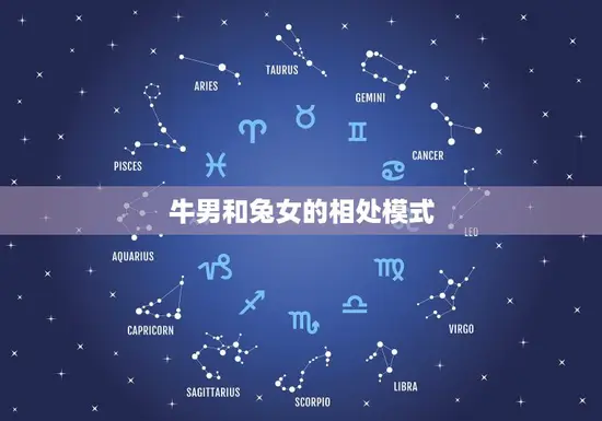 牛男和兔女的相处模式