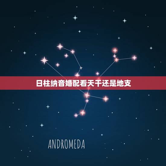 日柱纳音婚配看天干还是地支，婚姻看天干还是地支