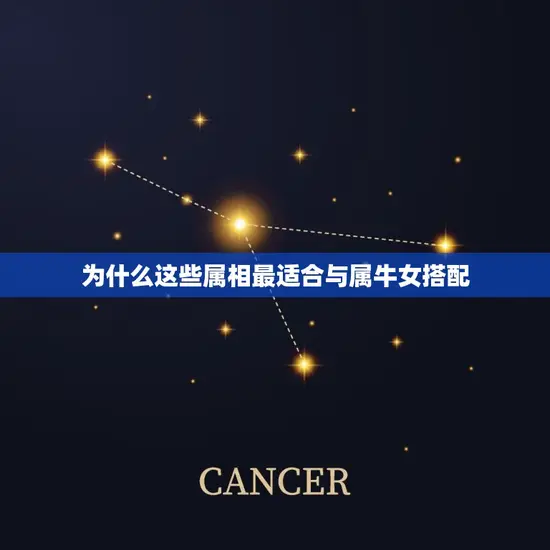 为什么这些属相最适合与属牛女搭配 为什么这些属相最适合与属牛女搭配