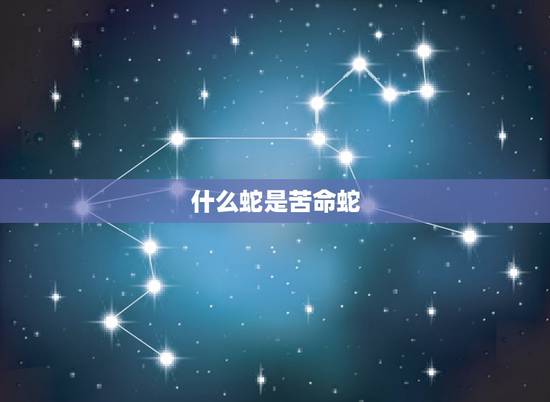 什么蛇是苦命蛇,蛇的科属是什么 什么蛇是苦命蛇,蛇的科属是什么