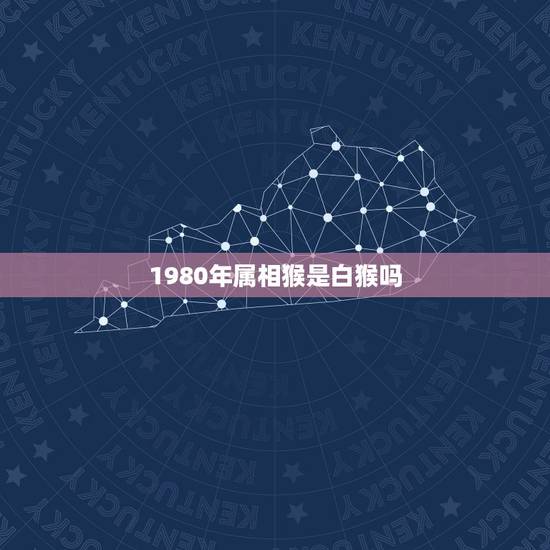1980年属相猴是白猴吗,1980年1月24属相是猴还是羊呢? 1980年属相猴是白猴吗,1980年1月24属相是猴还是羊呢?