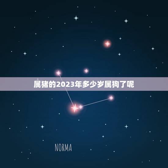 属猪的2023年多少岁属狗了呢(介绍猪狗相伴岁岁平安) 属猪的2023年多少岁属狗了呢(介绍猪狗相伴岁岁平安)