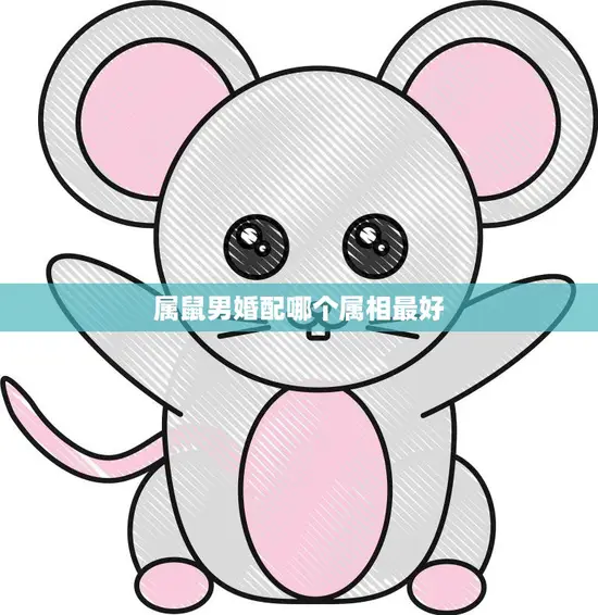 属鼠男婚配哪个属相最好(如何选择最佳婚姻对象) 属鼠男婚配哪个属相最好(如何选择最佳婚姻对象)