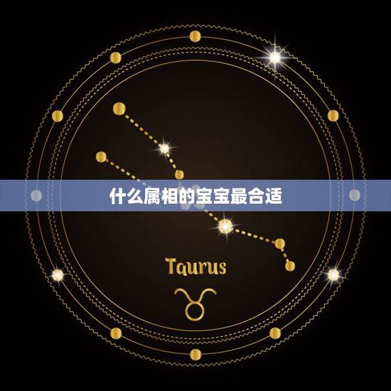 什么属相的宝宝最合适,什么属相孩子最好 什么属相的宝宝最合适,什么属相孩子最好