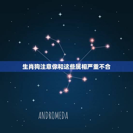 生肖狗注意你和这些属相严重不合，生肖狗跟那些生肖不合