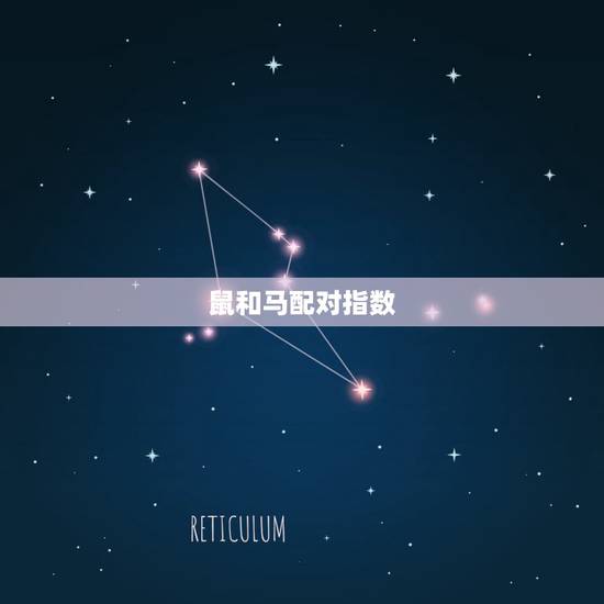 鼠和马配对指数，男鼠和女马的婚配