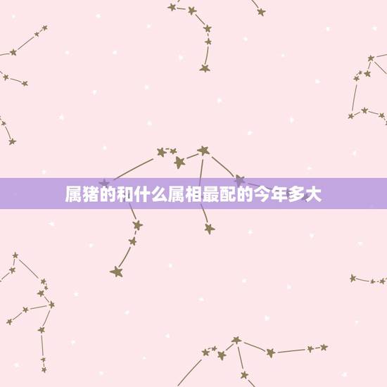 属猪的和什么属相最配的今年多大,属猪的和什么属相最配 属猪的和什么属相最配的今年多大,属猪的和什么属相最配