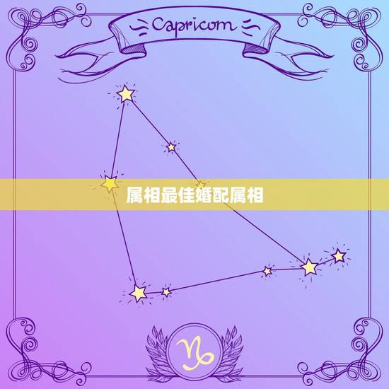 属相最佳婚配属相,生肖鼠最佳配对属相? 属相最佳婚配属相,生肖鼠最佳配对属相?