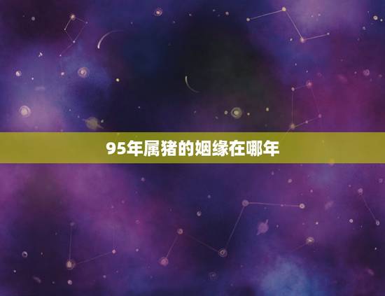 95年属猪的姻缘在哪年，属猪婚配更佳属相