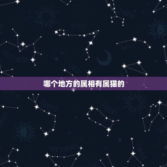 哪个地方的属相有属猫的，十二生肖中有属猫的吗？