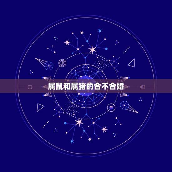 属鼠和属猪的合不合婚，属猪和属鼠的合不合