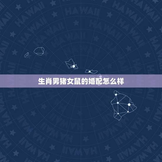 生肖男猪女鼠的婚配怎么样,男猪女鼠相配吗 生肖男猪女鼠的婚配怎么样,男猪女鼠相配吗