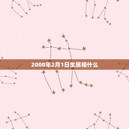 2000年2月1日生属相什么，2000年2月1日出生属兔的今年多大了？
