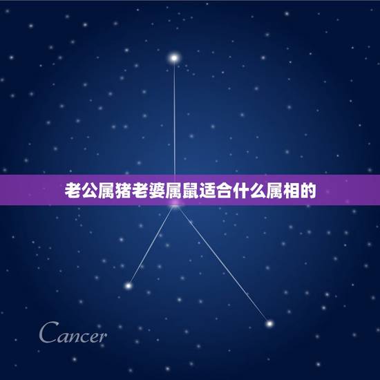 老公属猪老婆属鼠适合什么属相的,男方属猪女方属鼠生什么属相好 老公属猪老婆属鼠适合什么属相的,男方属猪女方属鼠生什么属相好