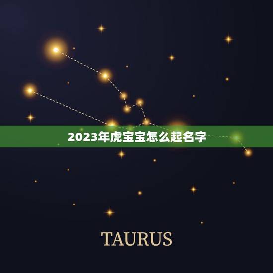 2023年虎宝宝怎么起名字 2023年虎宝宝好名字 2023年虎宝宝怎么起名字 2023年虎宝宝好名字