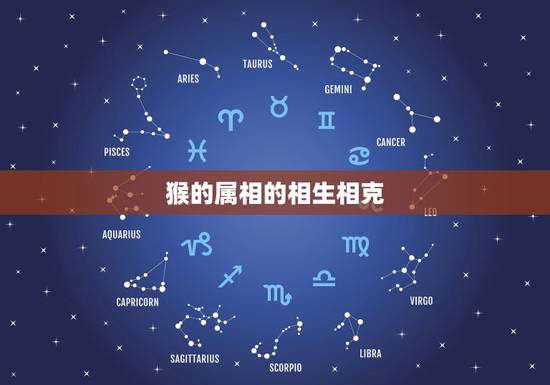 猴的属相的相生相克，生辰八字五行查询
