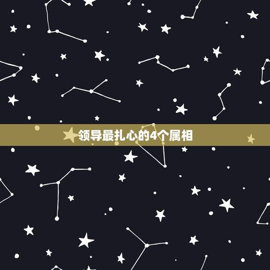 领导最扎心的4个属相，命中财，晚年有享不完的福气最傻最没心机的4大生