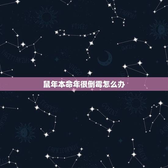 鼠年本命年很倒霉怎么办，鼠年本命佛是什么