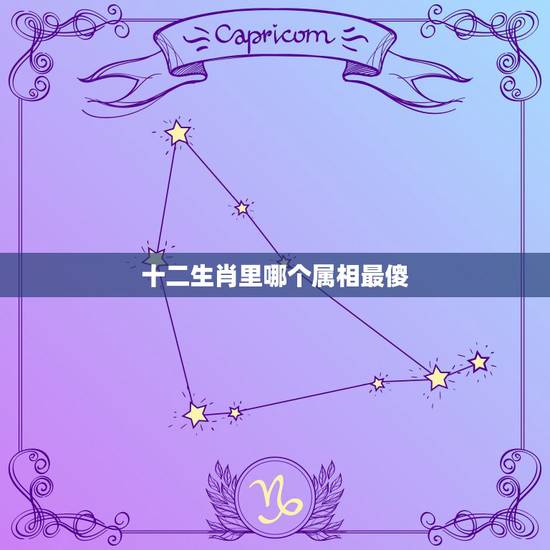 十二生肖里哪个属相最傻，12生肖中哪个生肖最傻