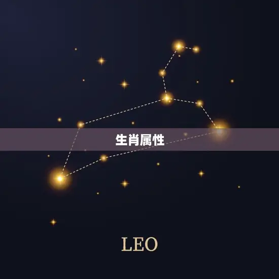生肖属性 生肖属性