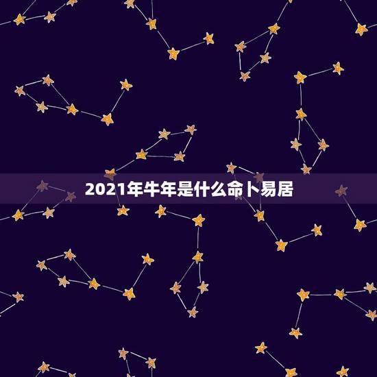 2021年牛年是什么命卜易居，2021年什么命