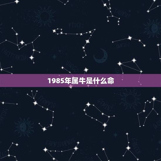 1985年属牛是什么命,1985属牛一生有二婚 1985年属牛是什么命,1985属牛一生有二婚