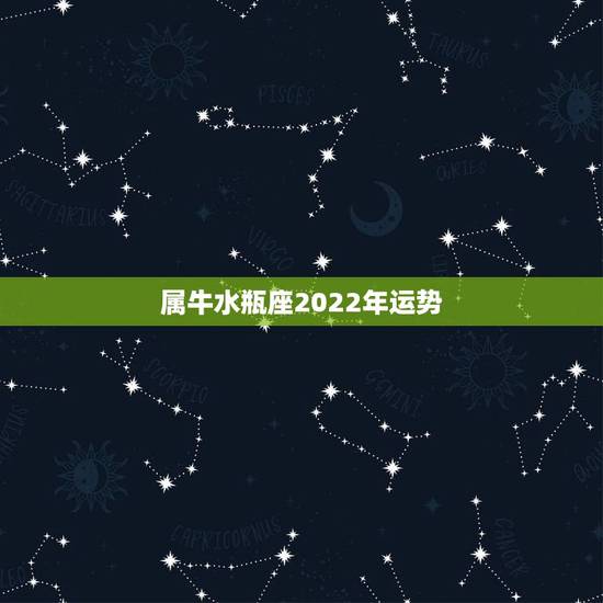 属牛水瓶座2022年运势，2021年水瓶座全年运势