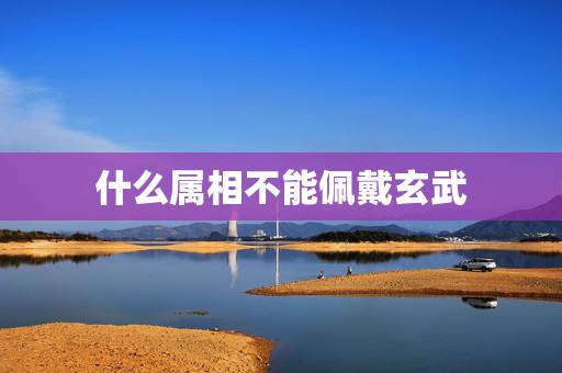 什么属相不能佩戴玄武,揭秘:什么属相不能带貔貅 什么属相不能佩戴玄武,揭秘:什么属相不能带貔貅