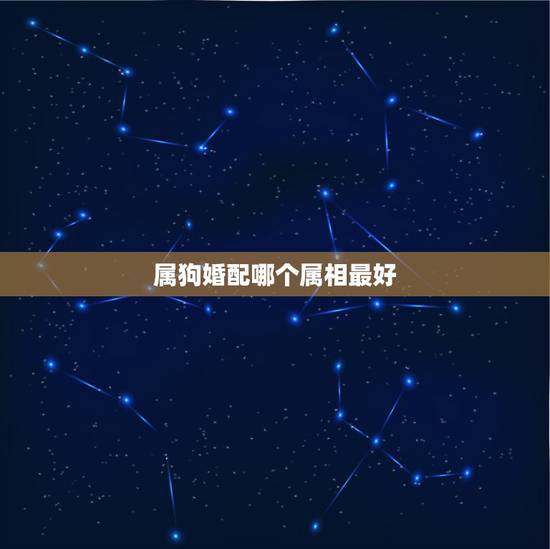 属狗婚配哪个属相最好,属狗的女孩和什么属相婚配最好 属狗婚配哪个属相最好,属狗的女孩和什么属相婚配最好