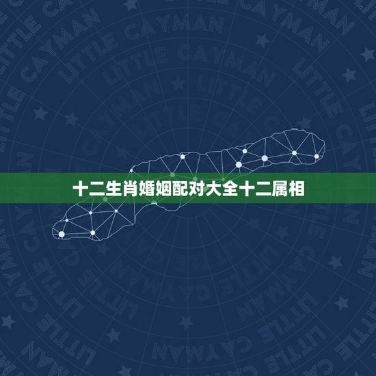 十二生肖婚姻配对大全十二属相,12生肖配对婚姻表 十二生肖婚姻配对大全十二属相,12生肖配对婚姻表