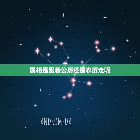 属相是跟着公历还是农历走呢,生肖属相是按阴历还是阳历算? 属相是跟着公历还是农历走呢,生肖属相是按阴历还是阳历算?